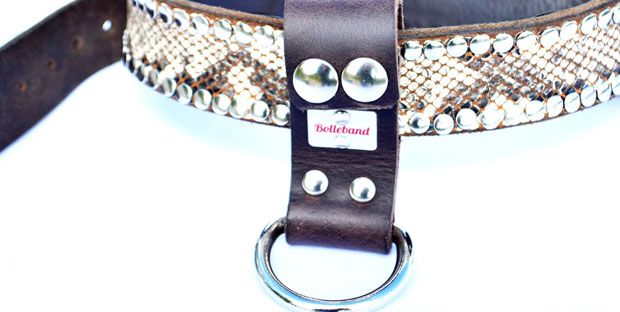 Bolleband – schöne Ledersachen für Windhunde und Halter