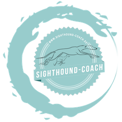 Coaching und Hundetraining für Windhunde, Podencos und ihre Besitzer
